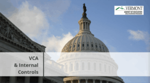 VCA and Internal Controls: Evaluating Compliance with the Performance Standards 2026 (VTAOE-131)