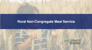 SFSP Rural Non-Congregate Meal Service 2026 (VTAOE-629)